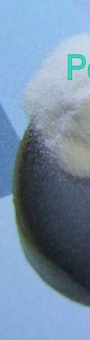 HSKIN2