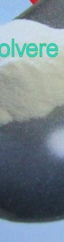 HSKIN2